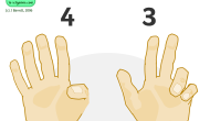 Finger Counting